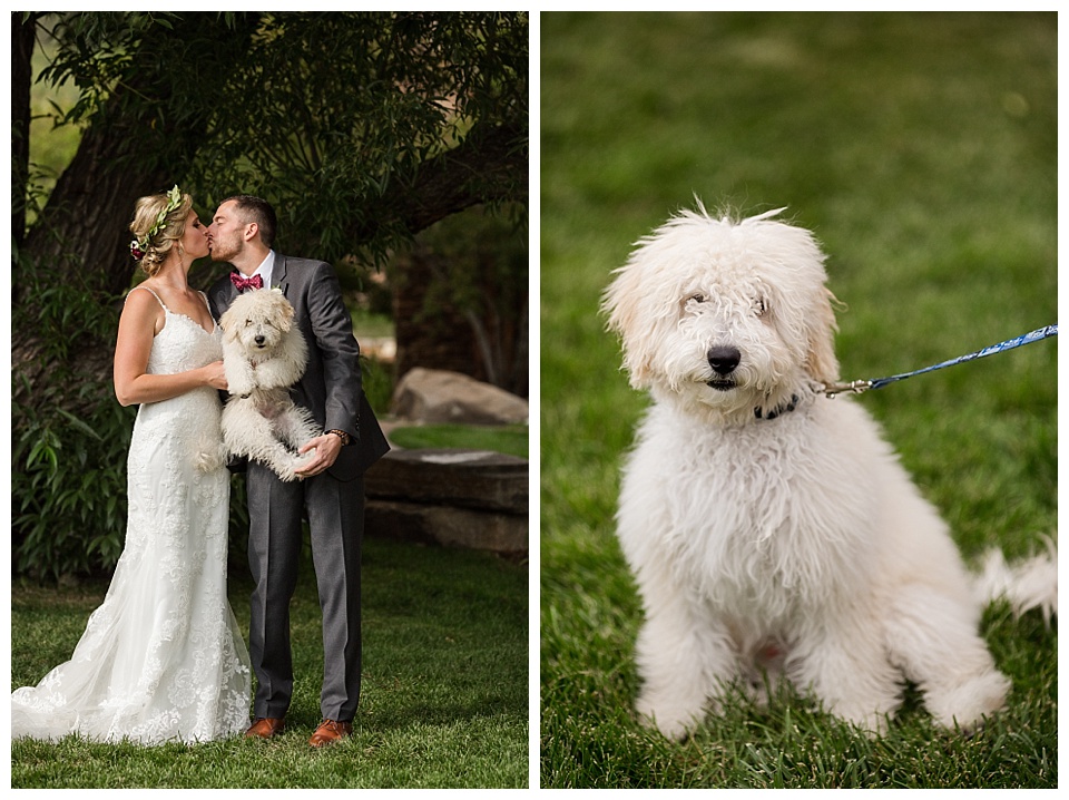bride and groom pose with their fluffy white dog on their wedding day