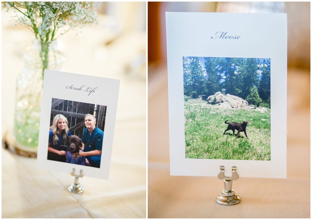 table numbers with photos of the wedding couple and their dog