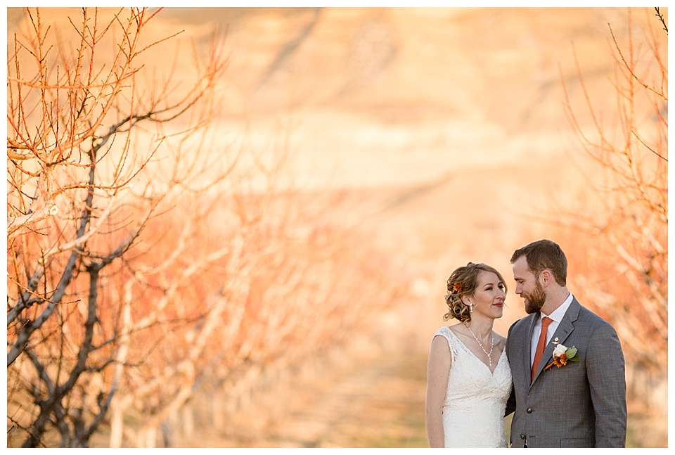bride and groom looking at each other in the sunset at colterris winery wedding 