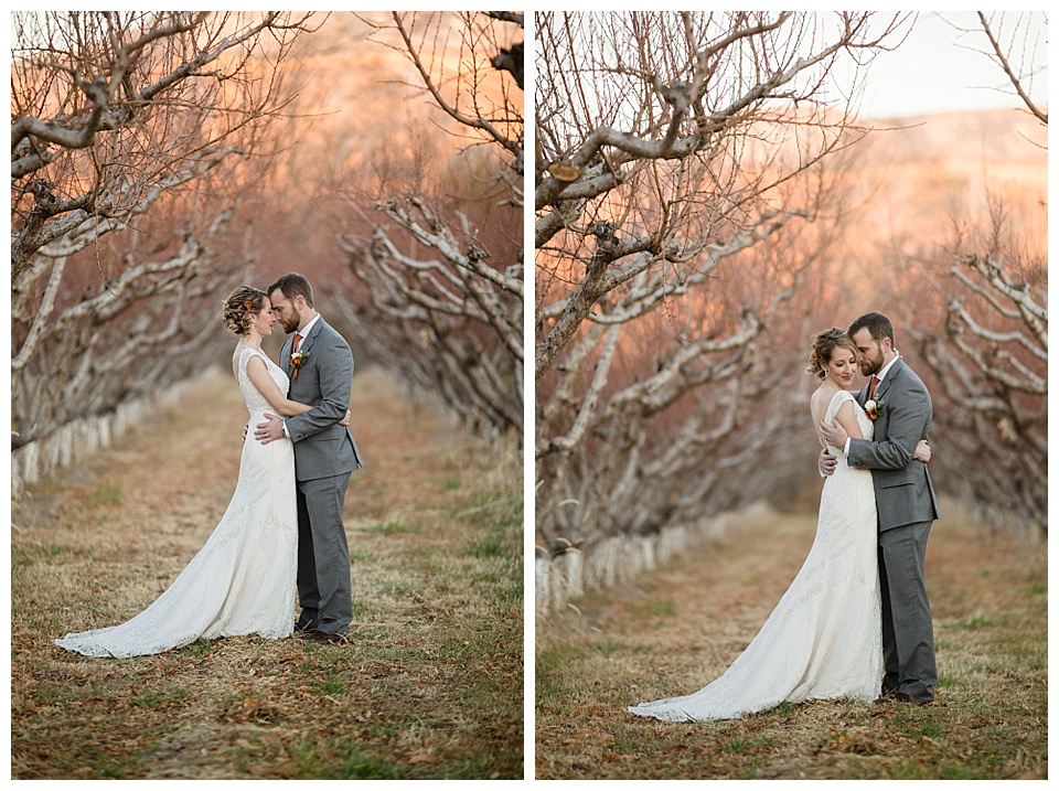 bride and groom pose in the sunset at colterris winery 