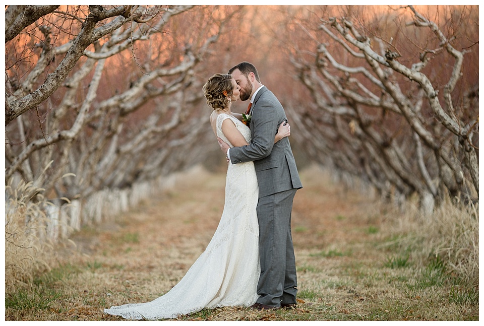 bride and groom kiss by grape trees during sunset at colterris winery 