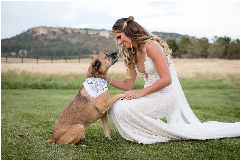 Bride and her dog at Spruce Spruce Mountain Ranch Trey's Vista