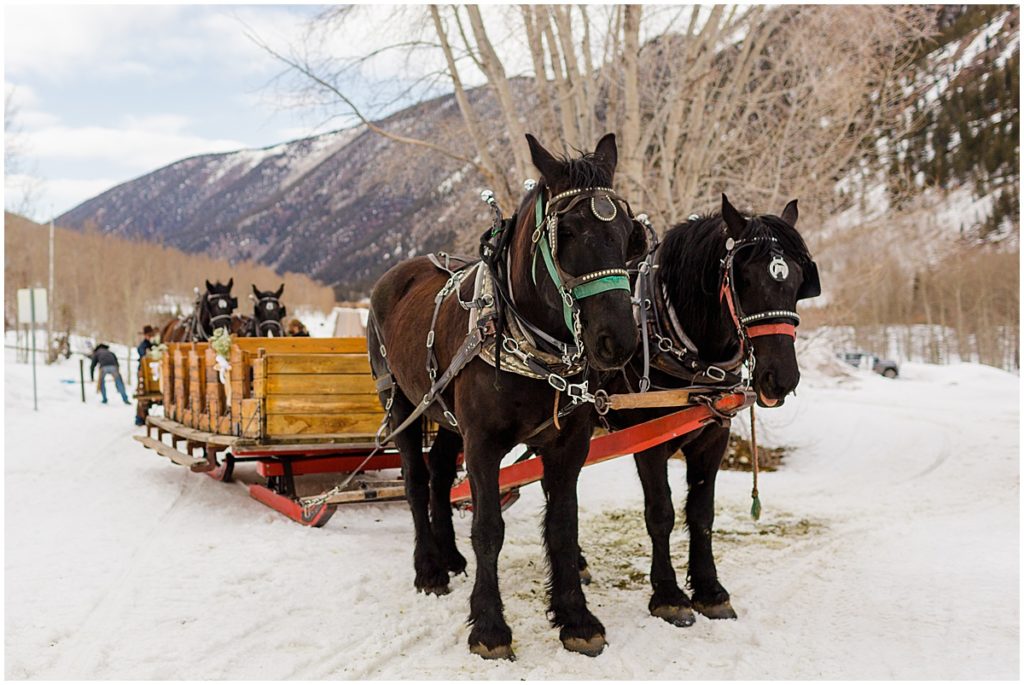 Horse sleigh ride for Aspen winter wedding at The Pine Creek Cookhouse in Aspen.