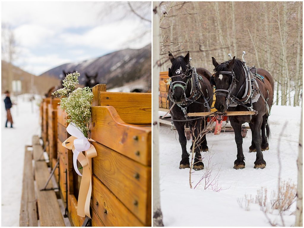 Horse sleigh ride for Aspen winter wedding at The Pine Creek Cookhouse in Aspen.