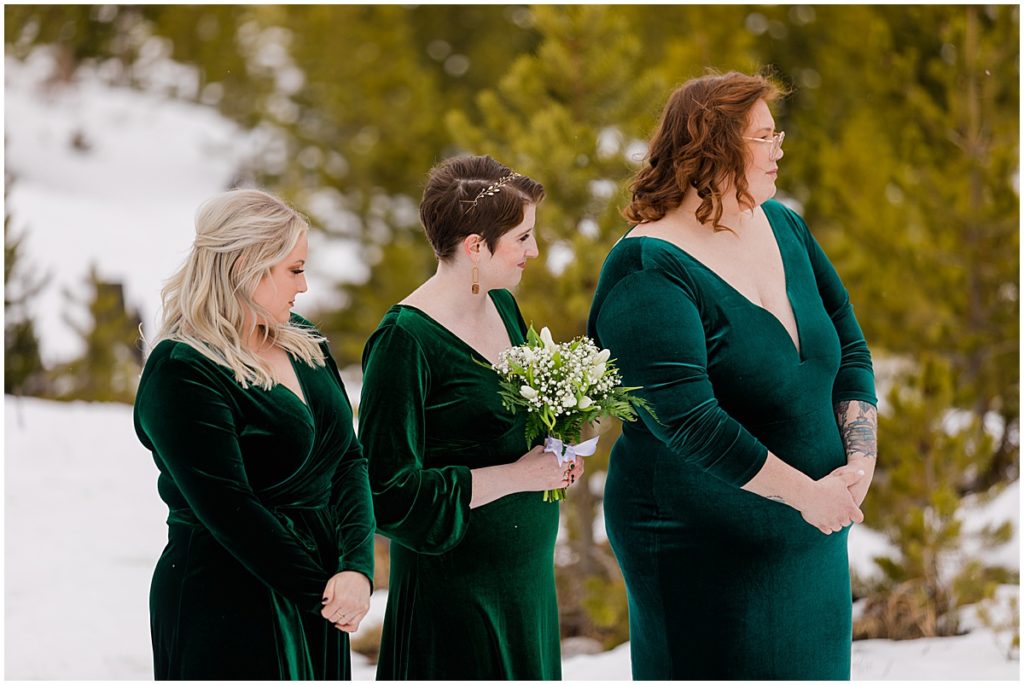 Bridal party at Sapphire Point in Breckenridge for micro wedding ceremony.  Floral design by Garden of Eden Flowers and Gifts.
