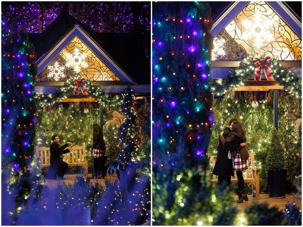 Proposal at Denver Botanical Gardens during the Christmas Holiday
