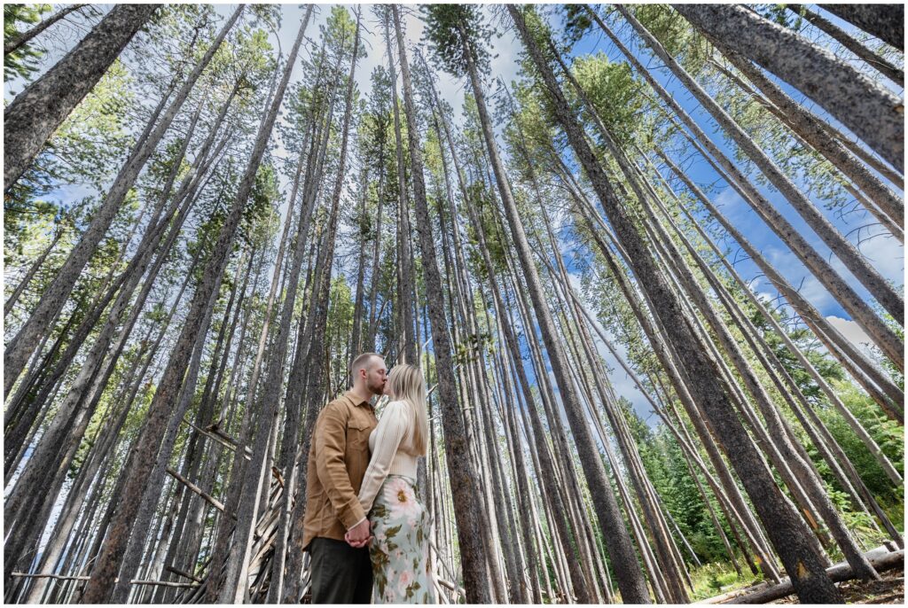 Couple standing in a meadow of trees in Breckenridge after proposal