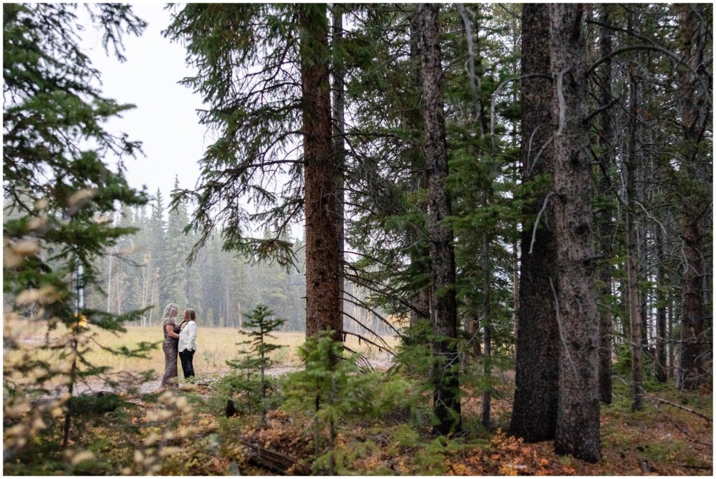 brides hugging in tree forest at ten mile station